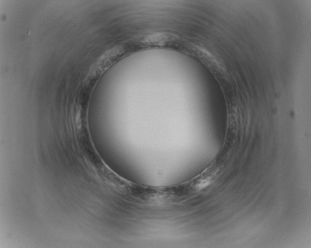 X0000074310504200609152010