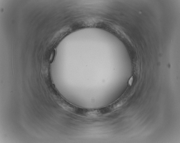 X0000074310505200609152010