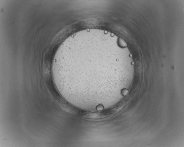 X0000074310507200609152010