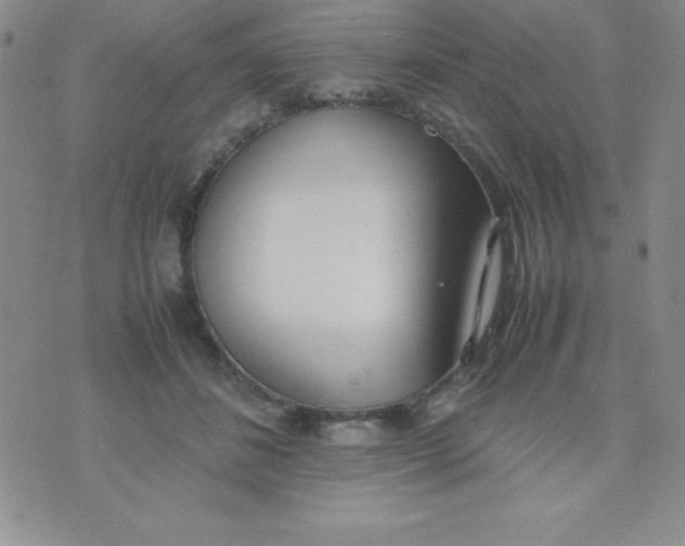 X0000074310508200609152010