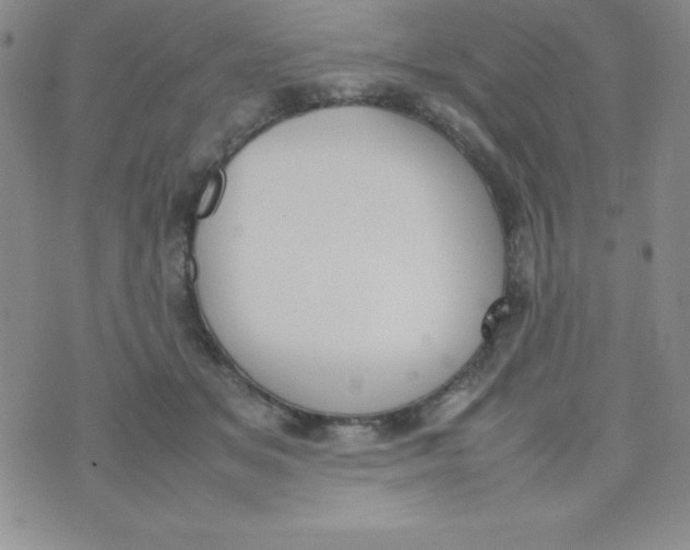 X0000074310509200609152010