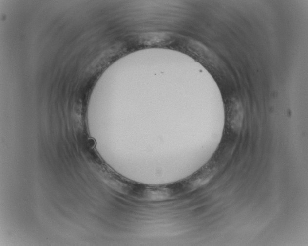 X0000074310510200609152010