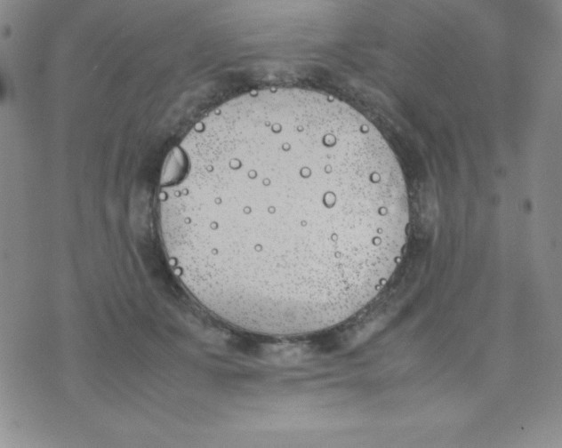 X0000074310511200609152010