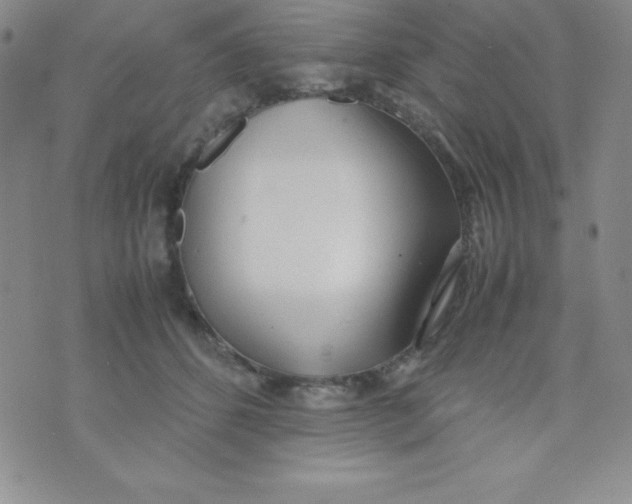 X0000074310512200609152010