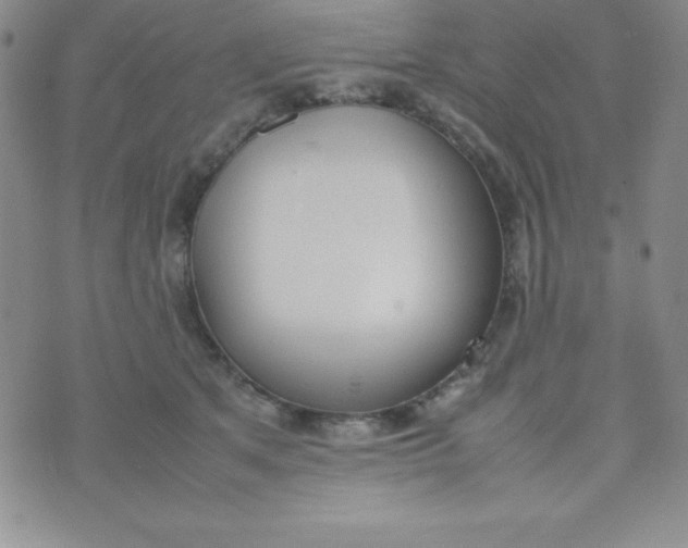 X0000074310513200609152010