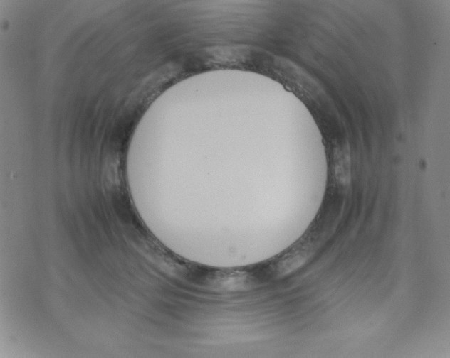 X0000074310514200609152010