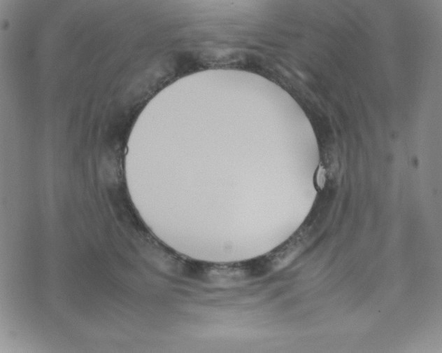 X0000074310515200609152010