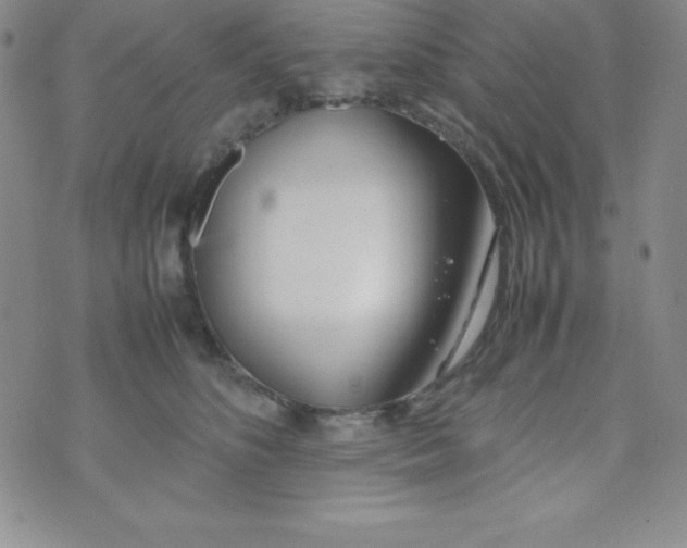 X0000074310516200609152010