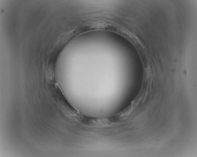 X0000074310517200609152010