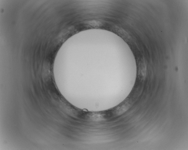 X0000074310518200609152010