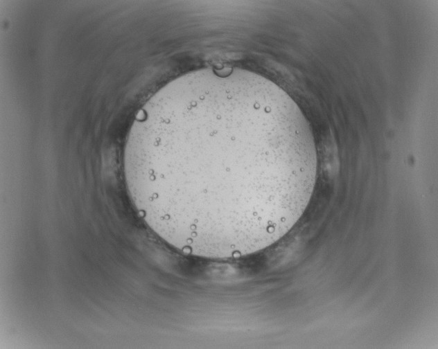 X0000074310519200609152010