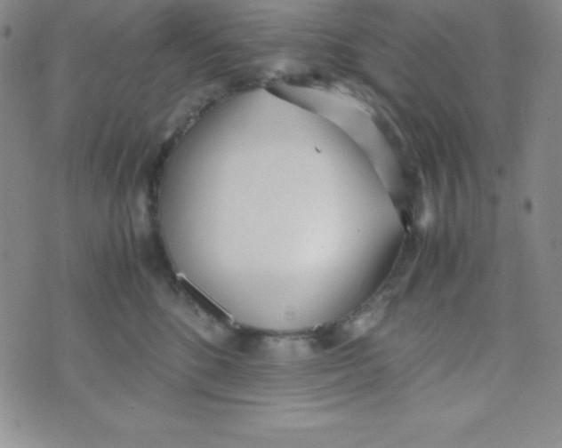 X0000074310520200609152010