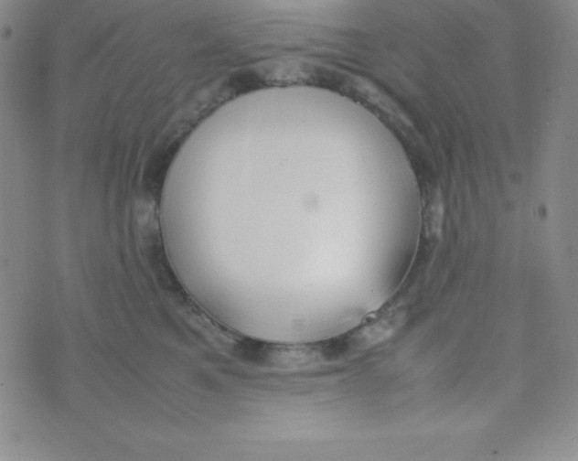 X0000074310521200609152010