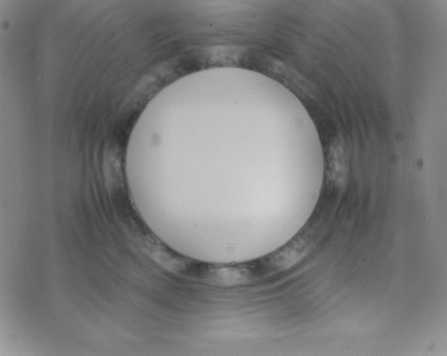 X0000074310522200609152010