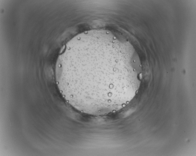 X0000074310523200609152010