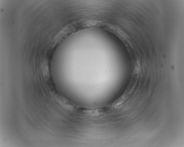 X0000074310524200609152010