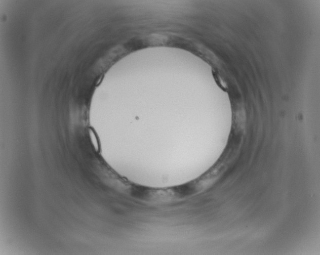 X0000074310525200609152010