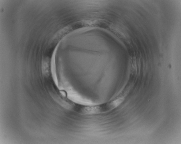 X0000074310526200609152010