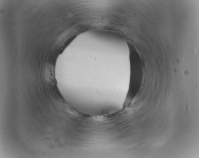 X0000074310528200609152010