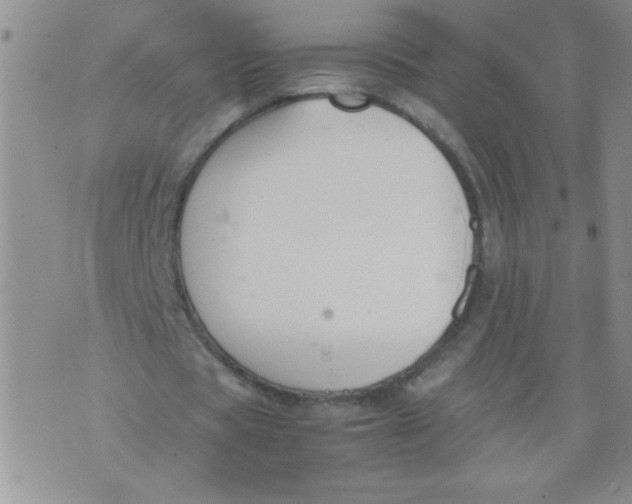 X0000074310529200609152009