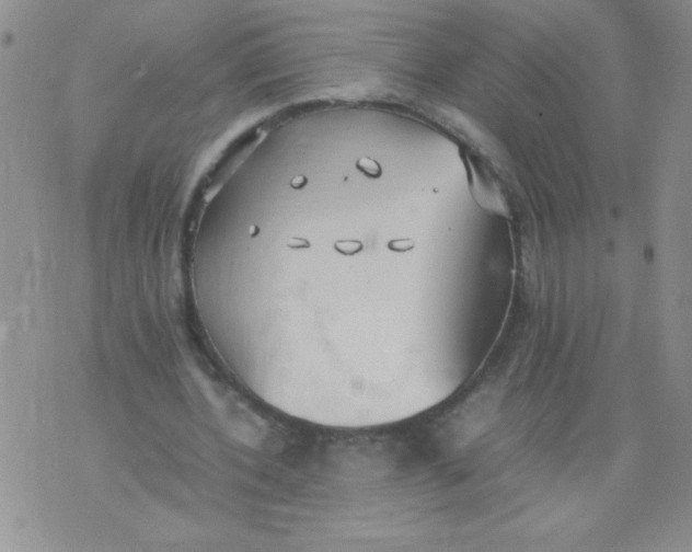 X0000074310532200609152009