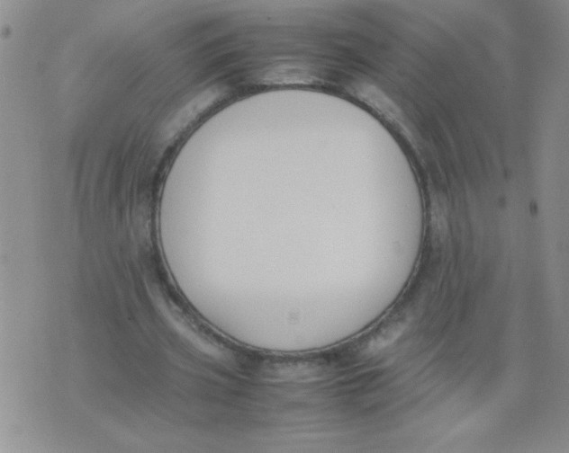 X0000074310533200609152009