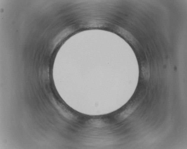 X0000074310534200609152009