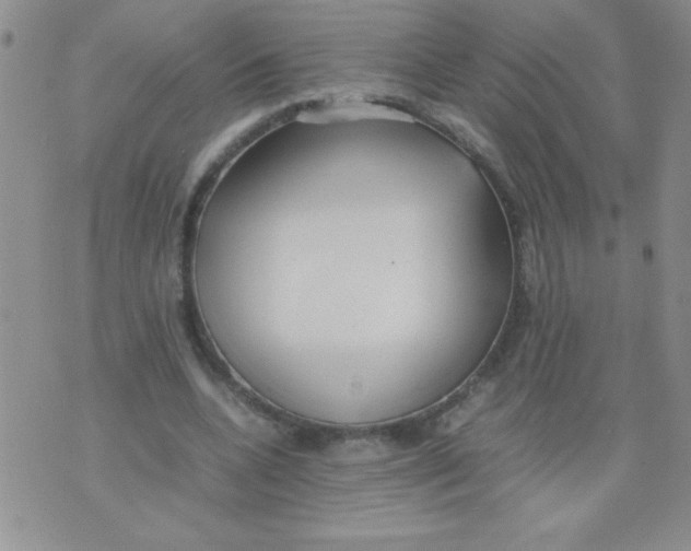 X0000074310536200609152009