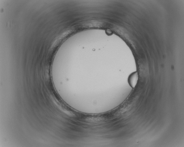 X0000074310537200609152009