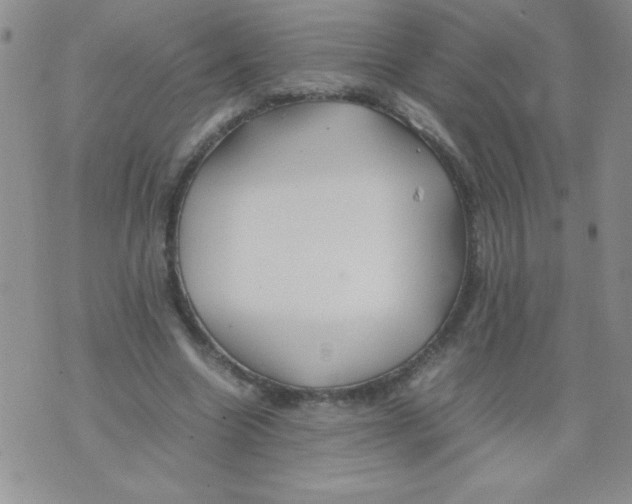 X0000074310538200609152009