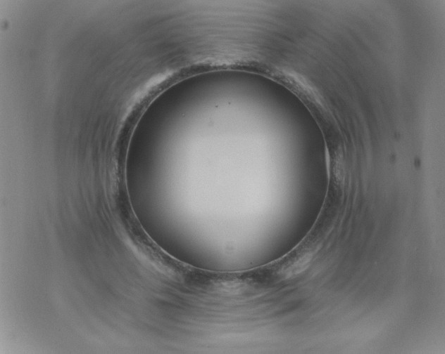 X0000074310540200609152009