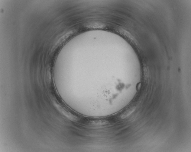 X0000074310541200609152009