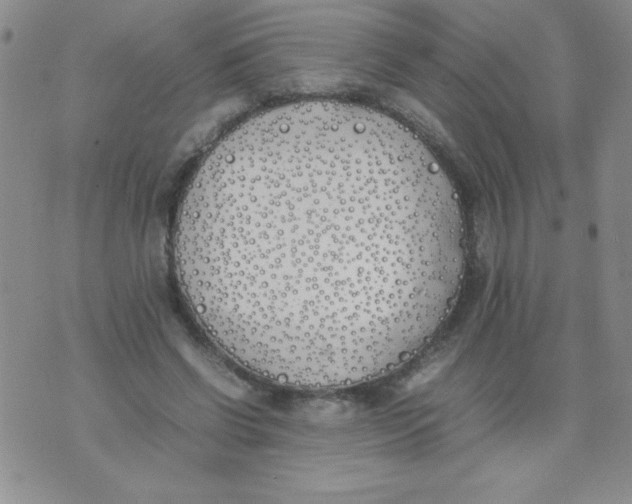 X0000074310542200609152009