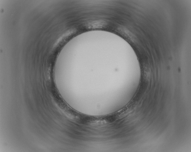 X0000074310543200609152009