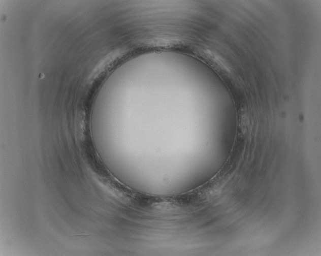 X0000074310544200609152009