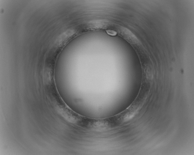 X0000074310546200609152009