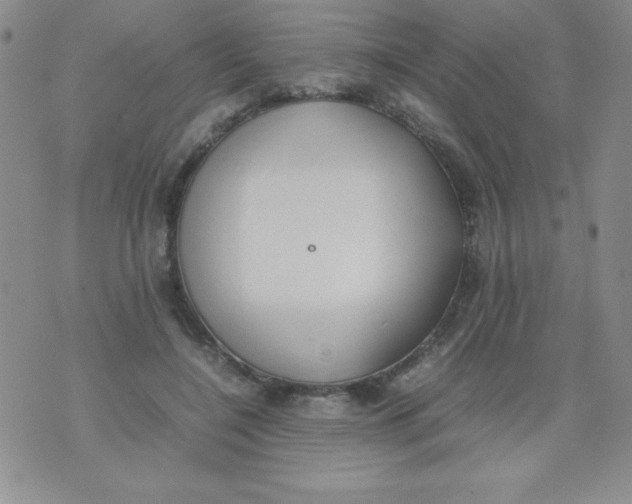 X0000074310548200609152009