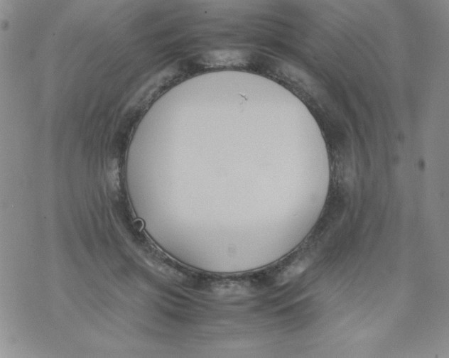 X0000074310549200609152009