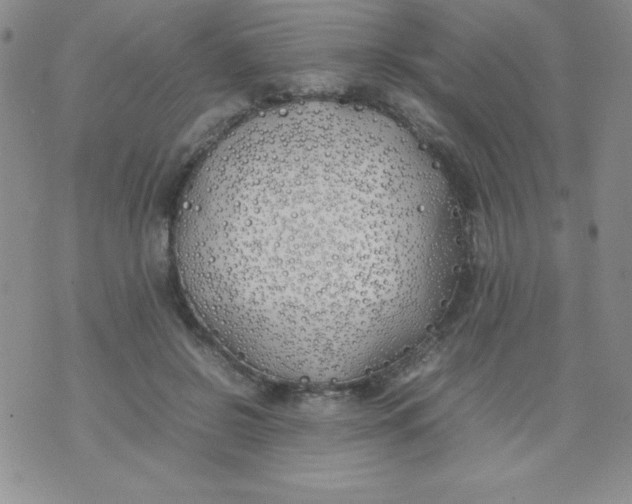 X0000074310550200609152009