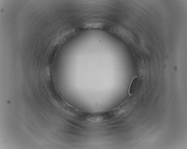 X0000074310551200609152009