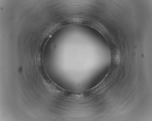 X0000074310552200609152009