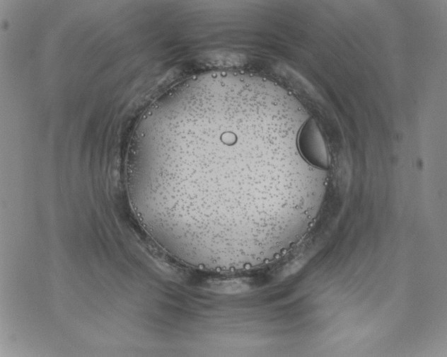 X0000074310553200609152009