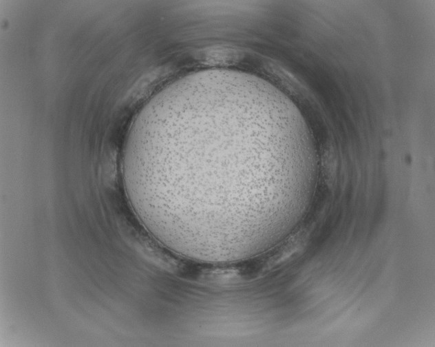 X0000074310554200609152009