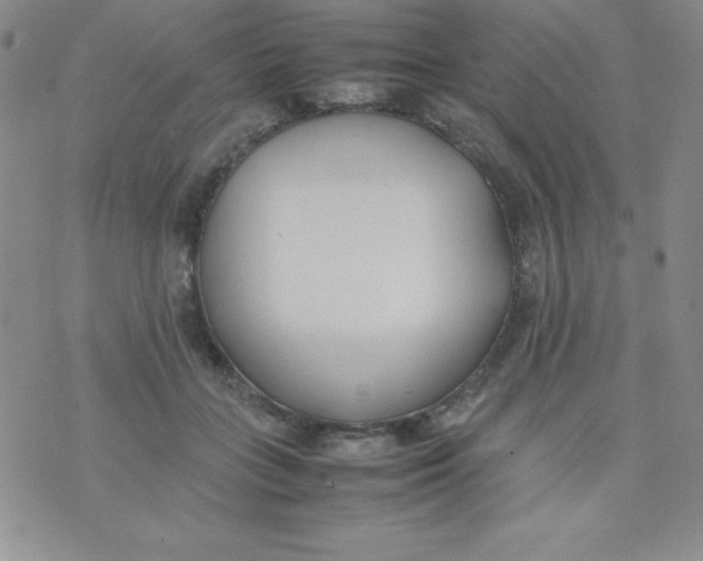 X0000074310555200609152009