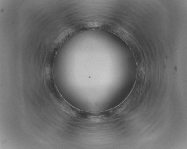 X0000074310556200609152009