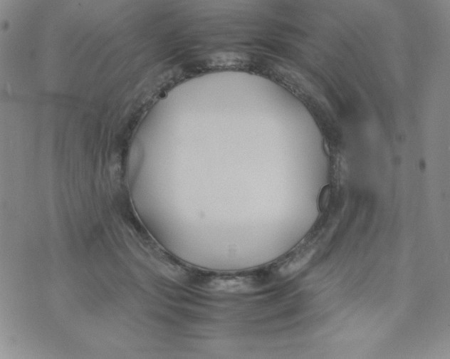 X0000074310557200609152009