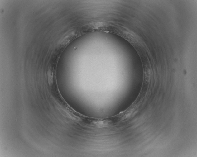 X0000074310558200609152009