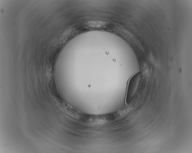 X0000074310559200609152009