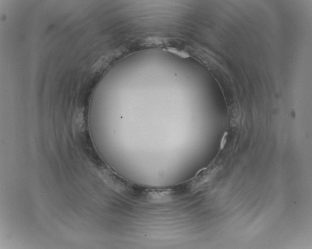 X0000074310560200609152009