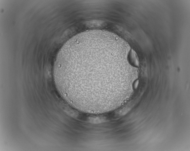 X0000074310561200609152009